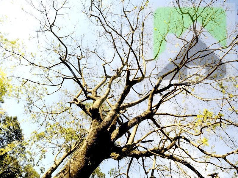 Terreno, 1000 m² - Foto 18