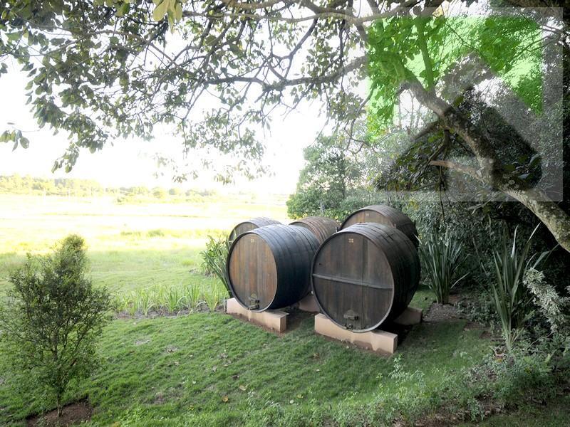 Terreno, 1000 m² - Foto 16