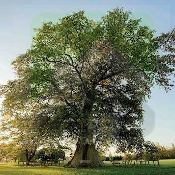 Terreno, 858 m² - Foto 1