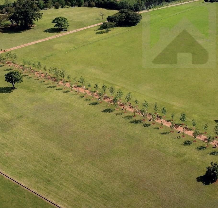 Terreno, 858 m² - Foto 3