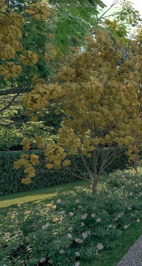 Terreno, 858 m² - Foto 10