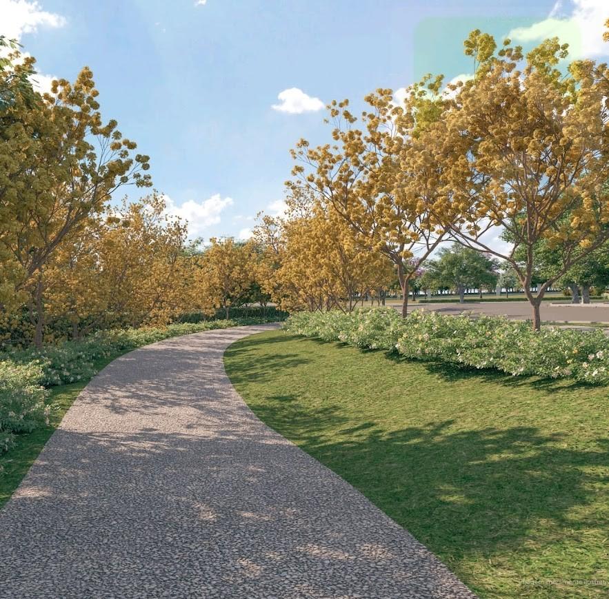 Terreno, 858 m² - Foto 11